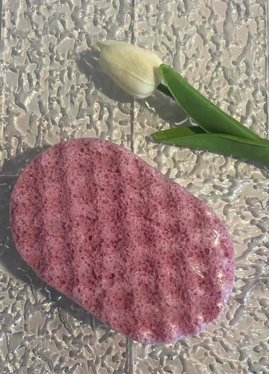 Soapy Sponge - Rhubarb and Rose with clamshell