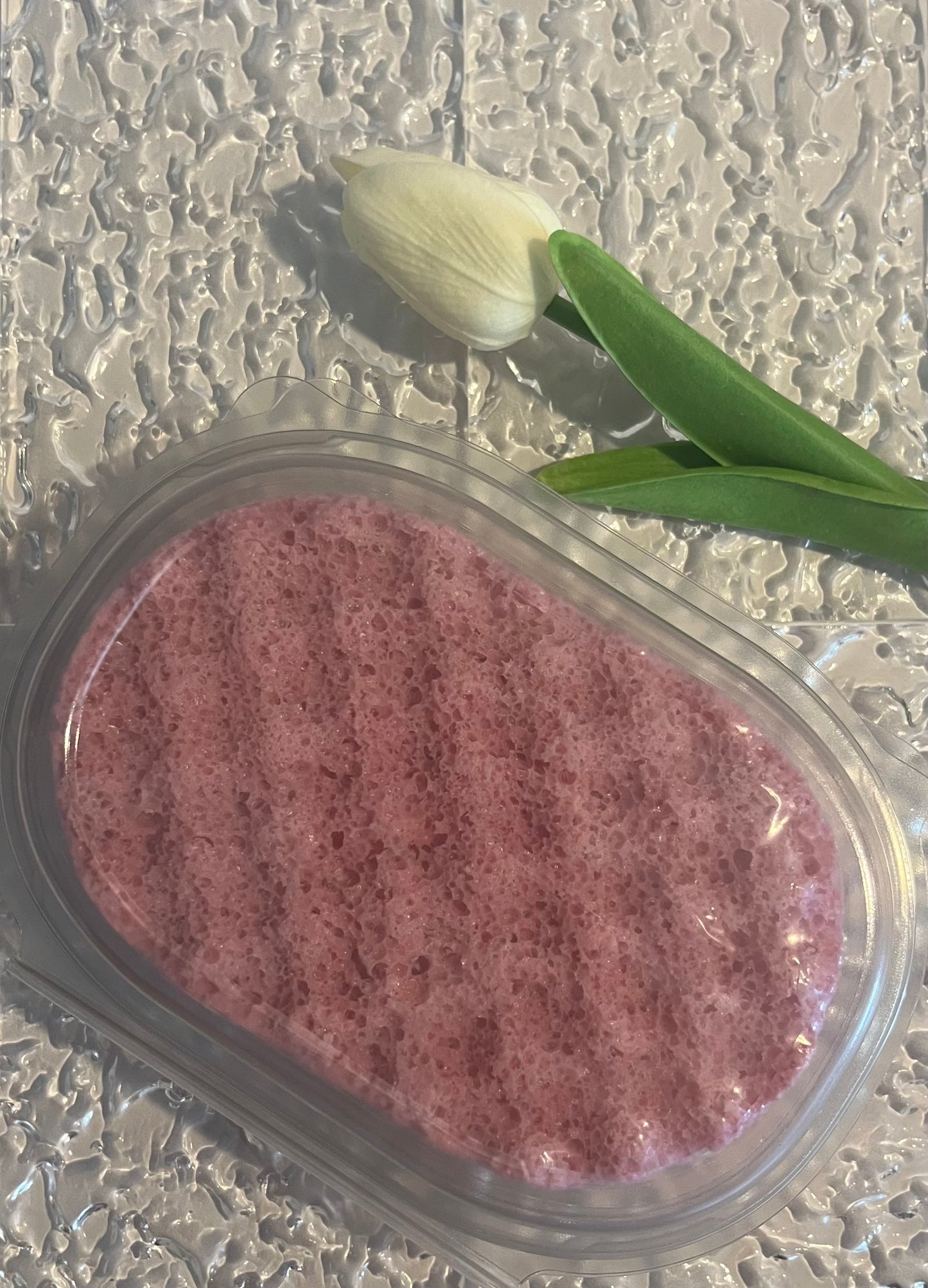 Soapy Sponge - Rhubarb and Rose with clamshell