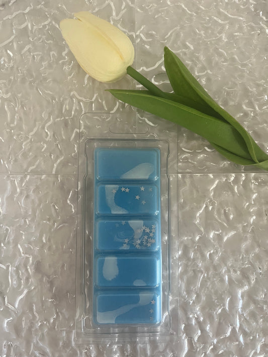 Frosted Eucalyptus Wax Melt Snapbar