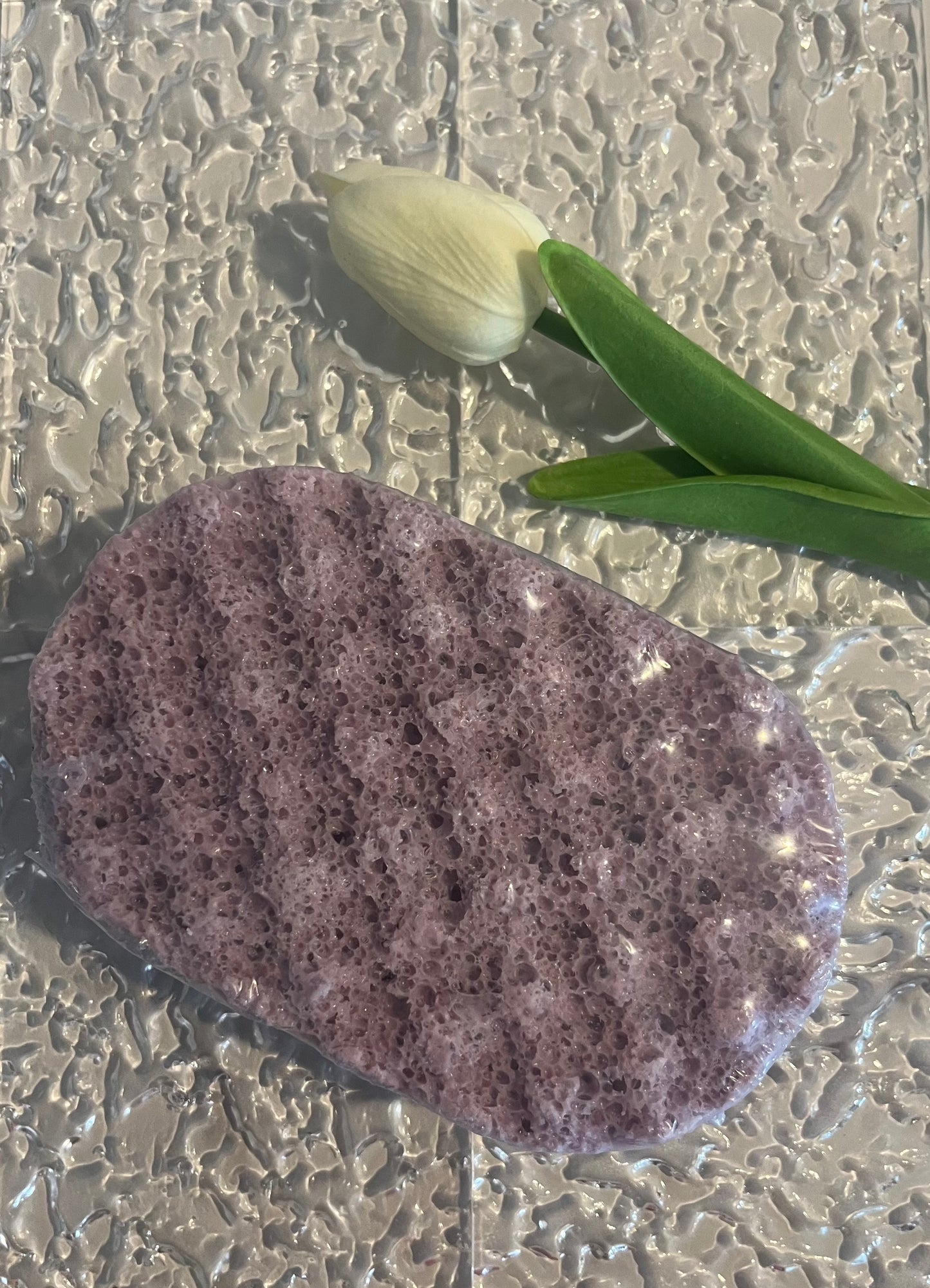 Soapy Sponge - Peony and Amber with clamshell